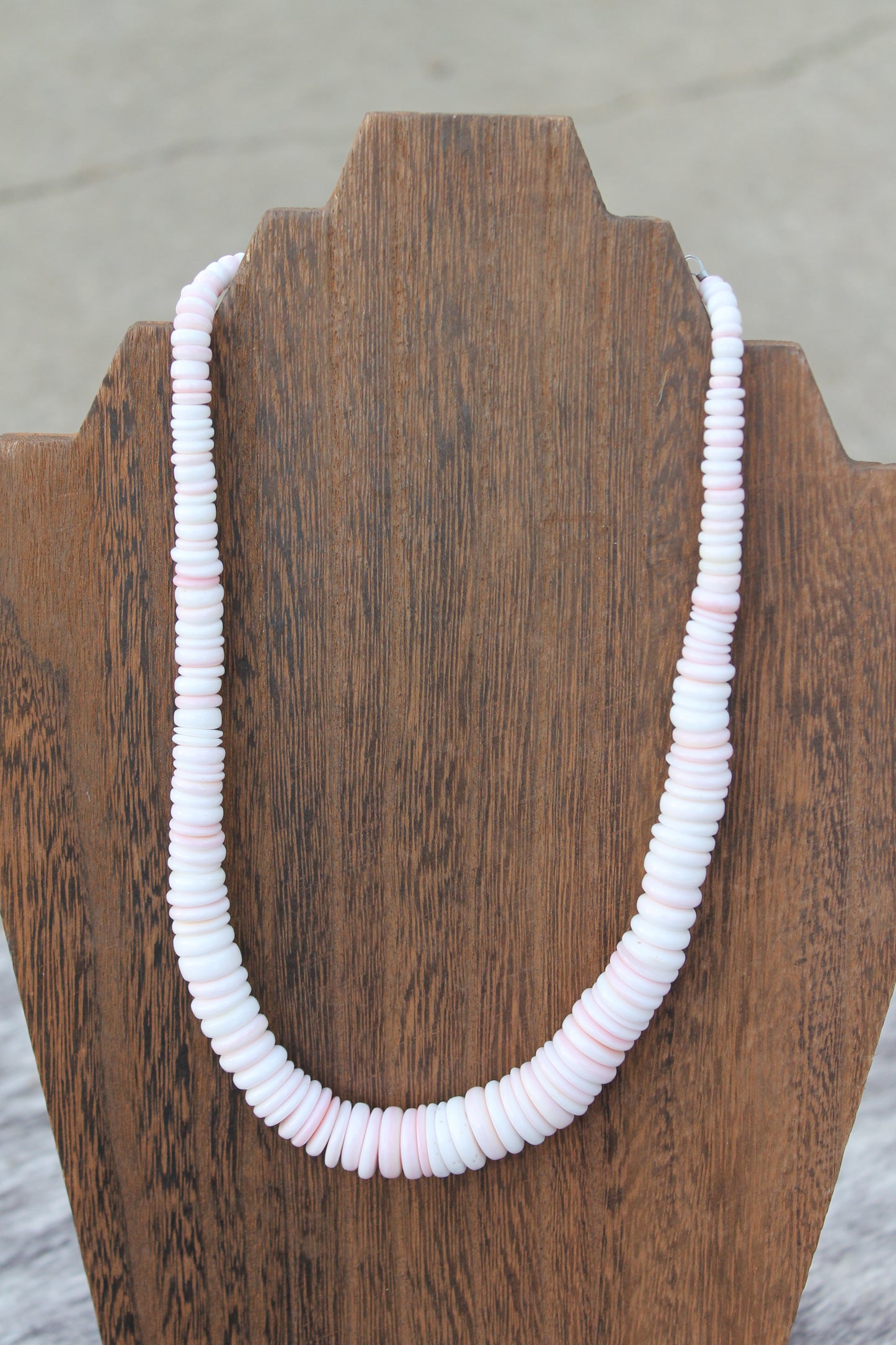 All pink conch