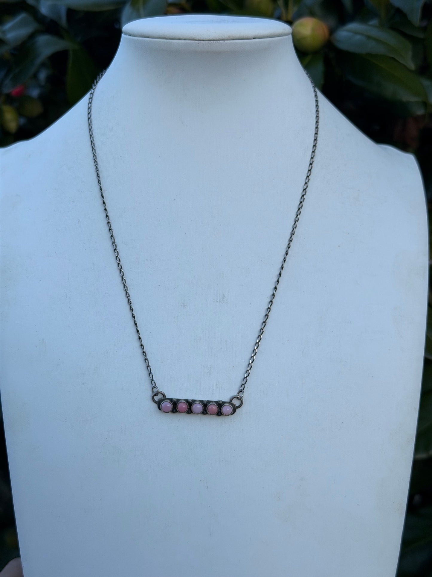 The pink conch