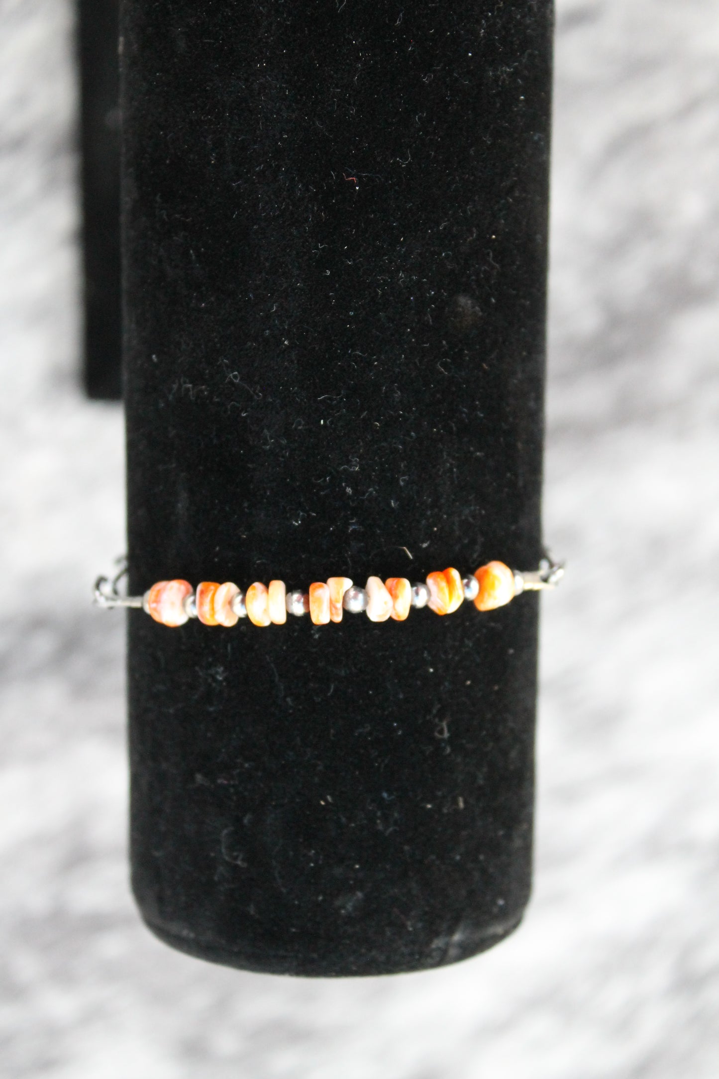 your choice orange spiny or pink conch