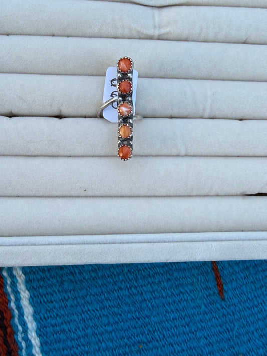 Adjustable orange spiny